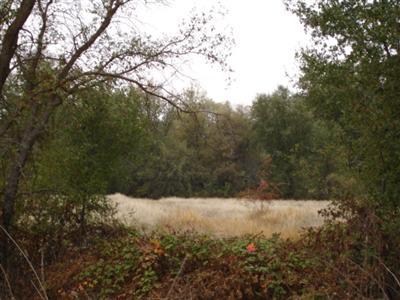 38530 Dunlap Road Dunlap, CA 93621 - Photo 11 of 12 Gallery Image 11