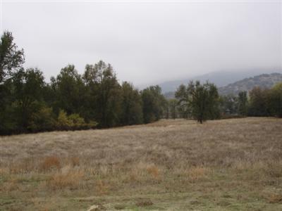 38530 Dunlap Road Dunlap, CA 93621 - Photo 8 of 12 Gallery Image 8
