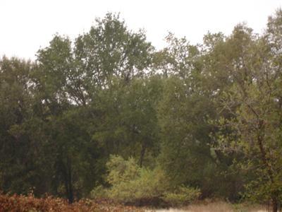 38530 Dunlap Road Dunlap, CA 93621 - Photo 9 of 12 Gallery Image 9
