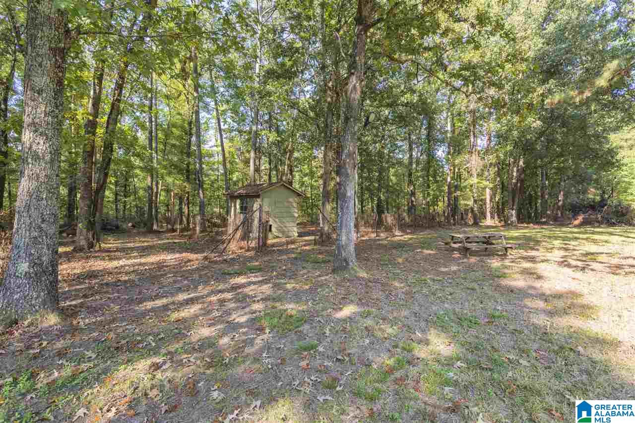 1955 Lumley Road Rainbow City, AL 35906 - Photo 45 of 49
