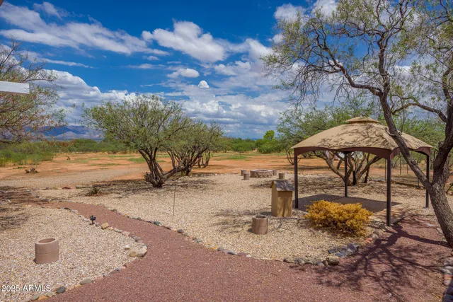 a view of a yard with a tree
