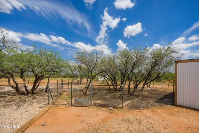 a view of backyard space