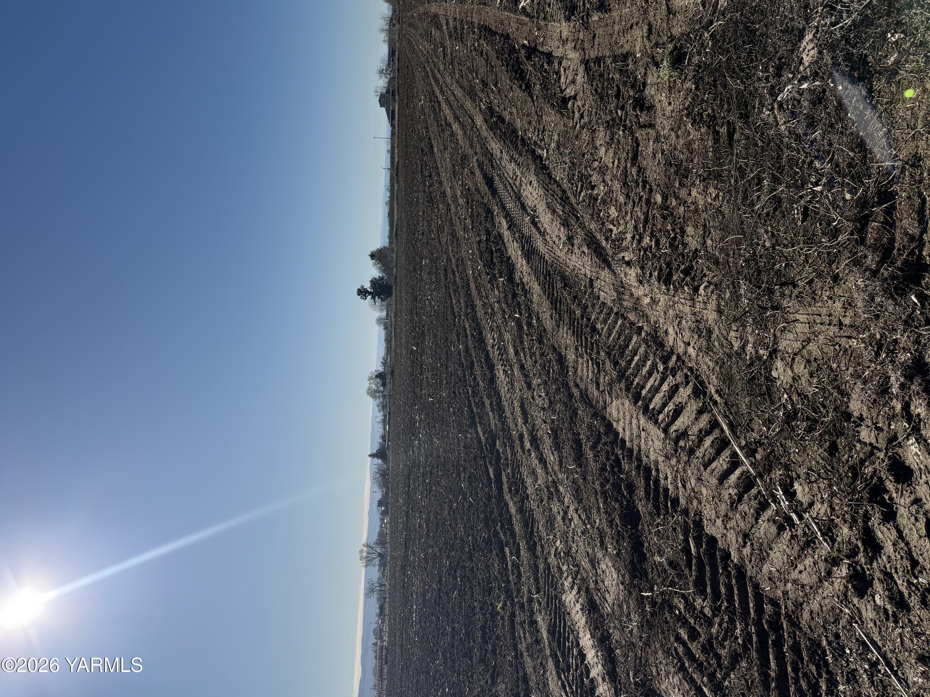 168505 West King Tull Road Prosser, WA 99350 - Photo 11 of 25 IMG_9189