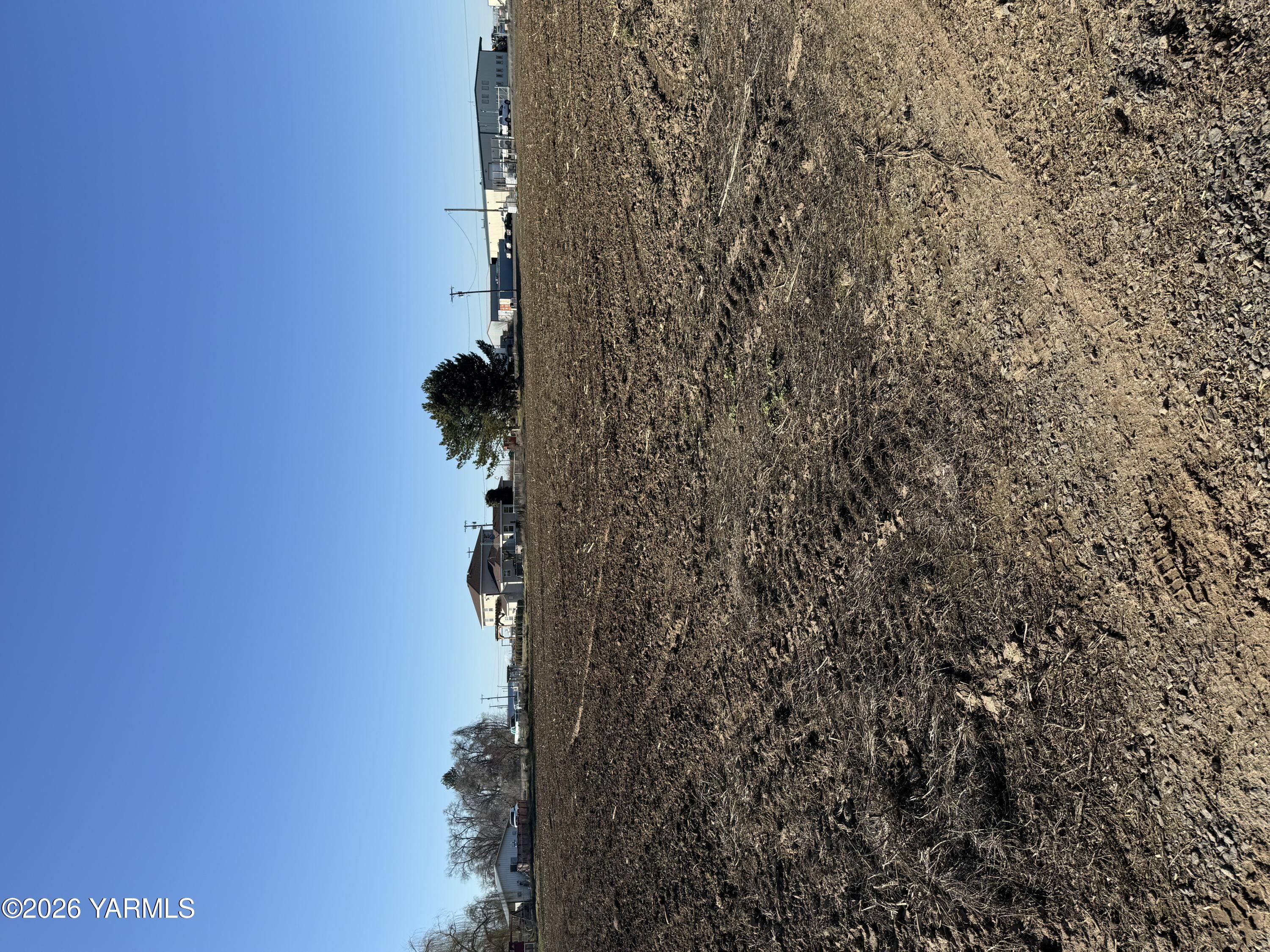 168505 West King Tull Road Prosser, WA 99350 - Photo 13 of 25 a view of a plant in a plant