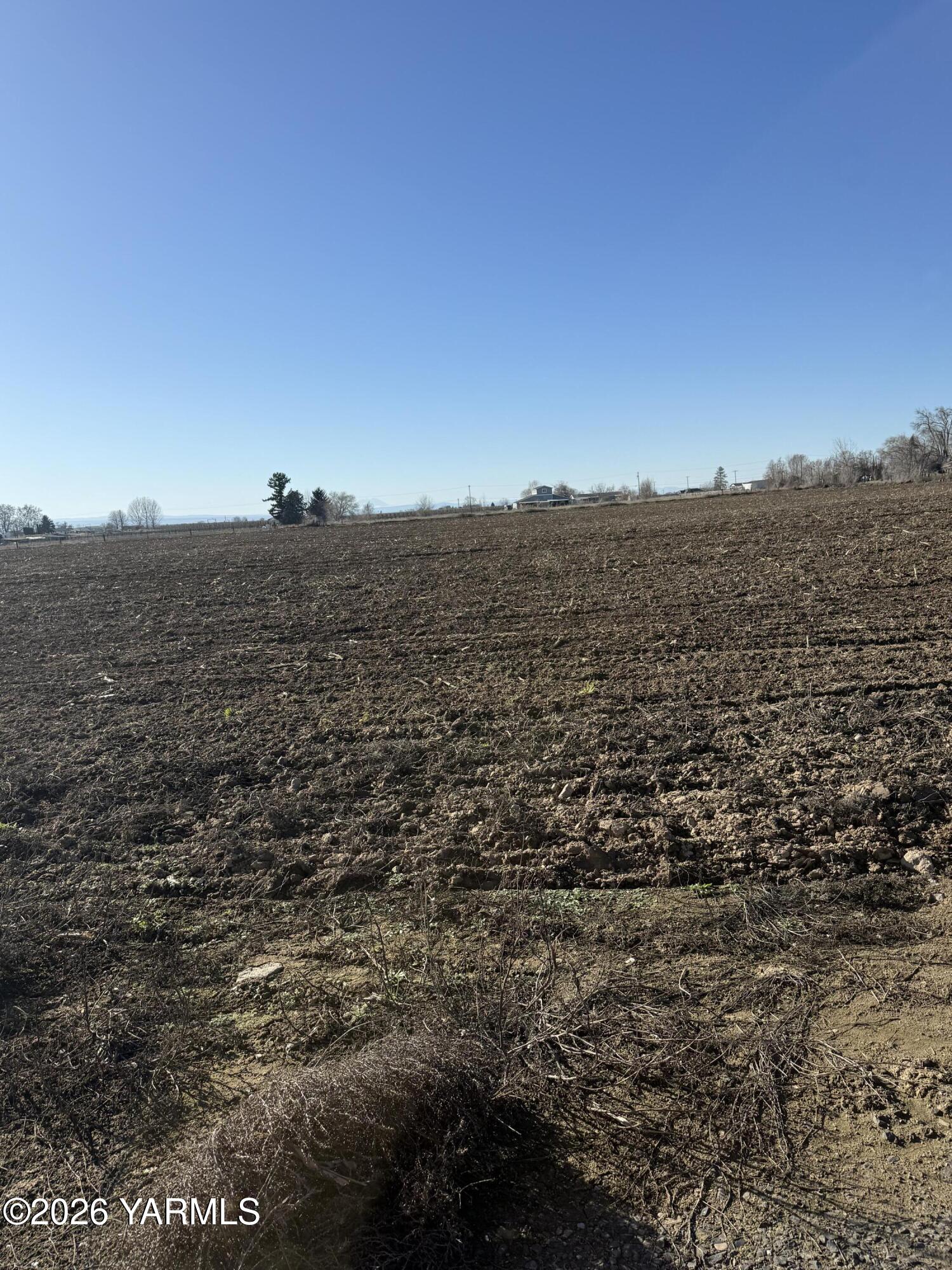 168505 West King Tull Road Prosser, WA 99350 - Photo 21 of 25 a view of a field