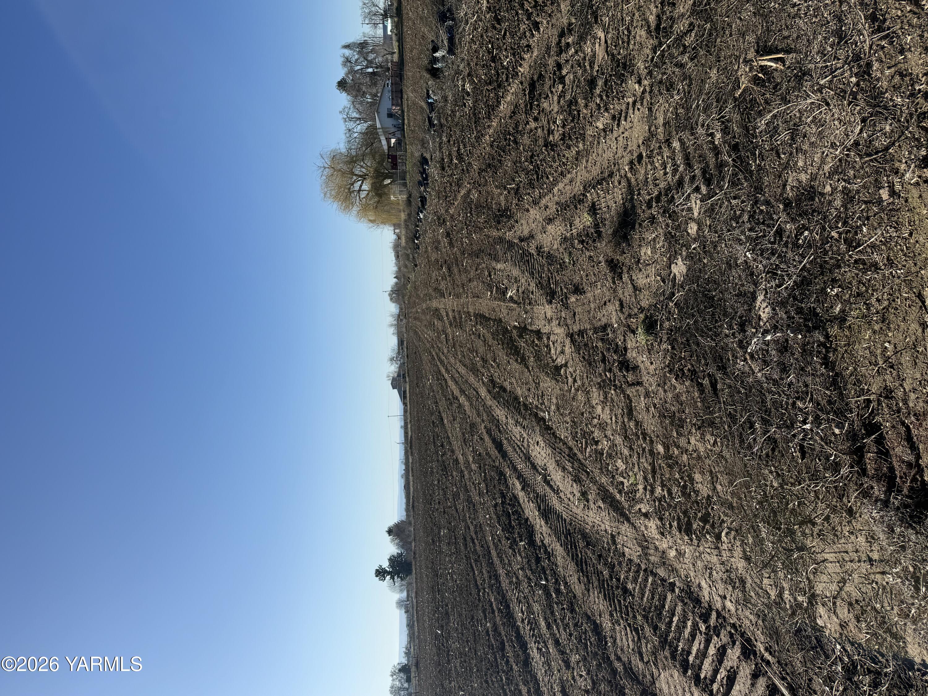 168505 West King Tull Road Prosser, WA 99350 - Photo 22 of 25 a view of a yard
