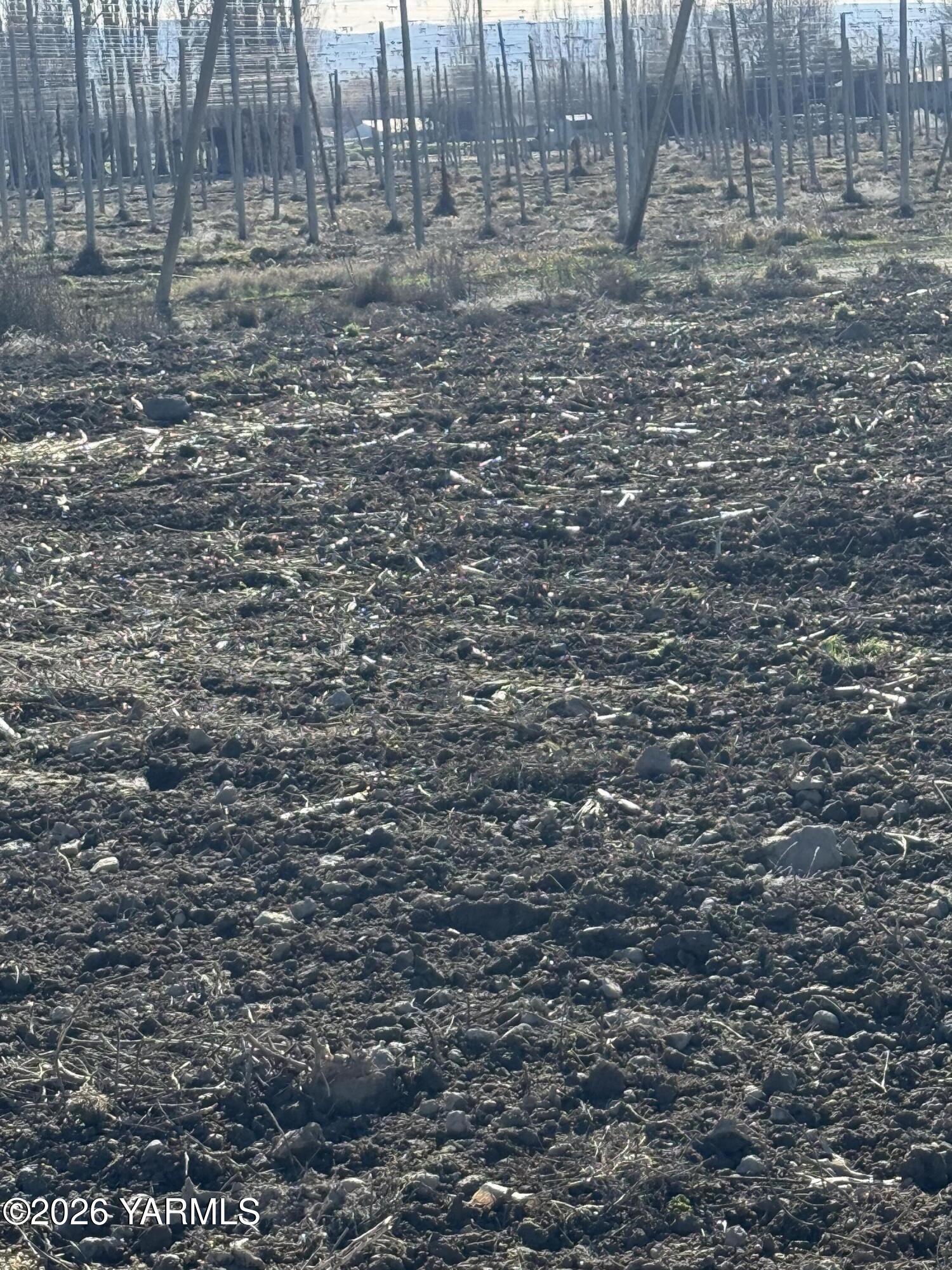 168505 West King Tull Road Prosser, WA 99350 - Photo 6 of 25 IMG_9178