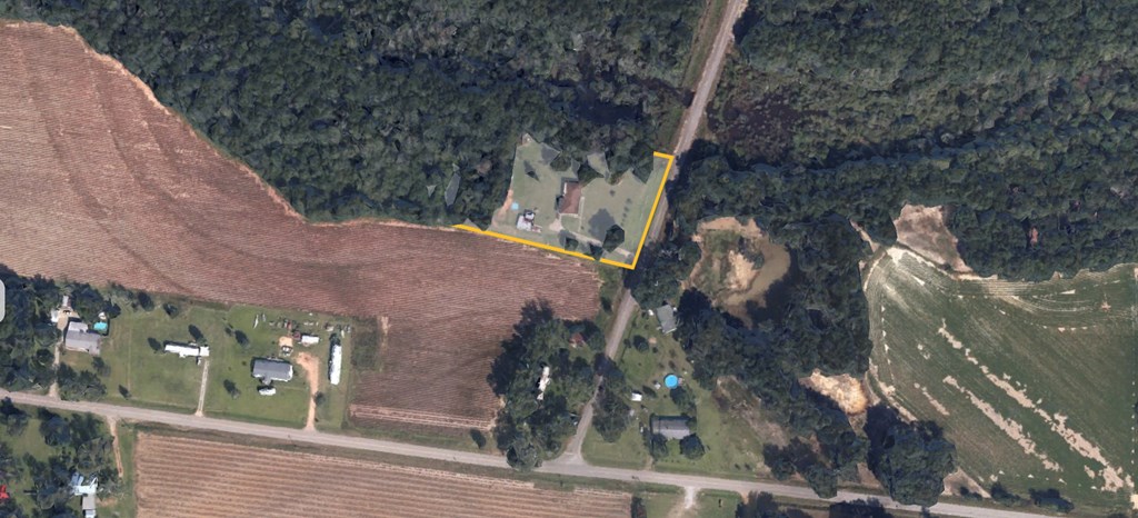 95 Peacock Road Webb, AL 36376 - Photo 3 of 3