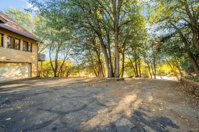 a view of road and trees around