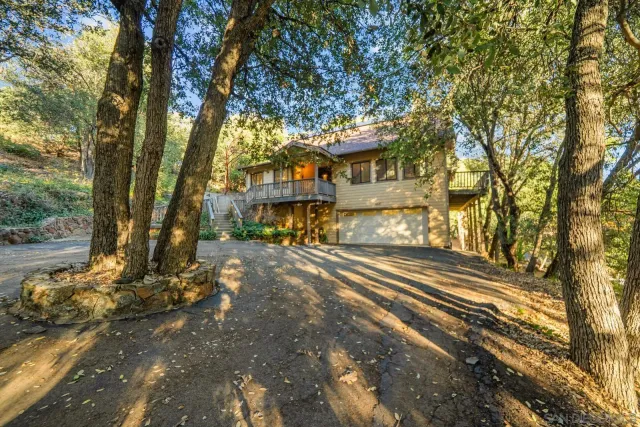 a view of city street with tall trees