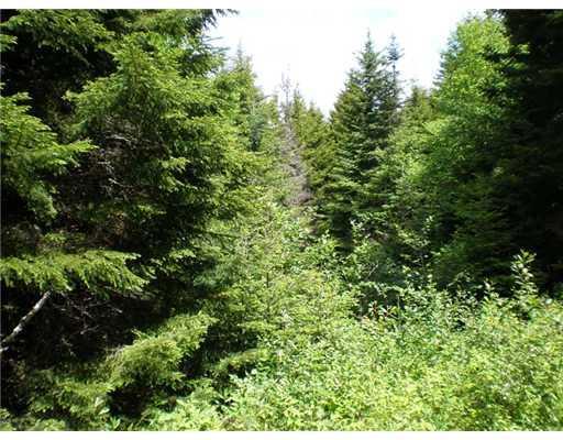 Lot 69 Chambers Point Road Roque Bluffs, ME 04654 - Photo 5 of 10 Land.