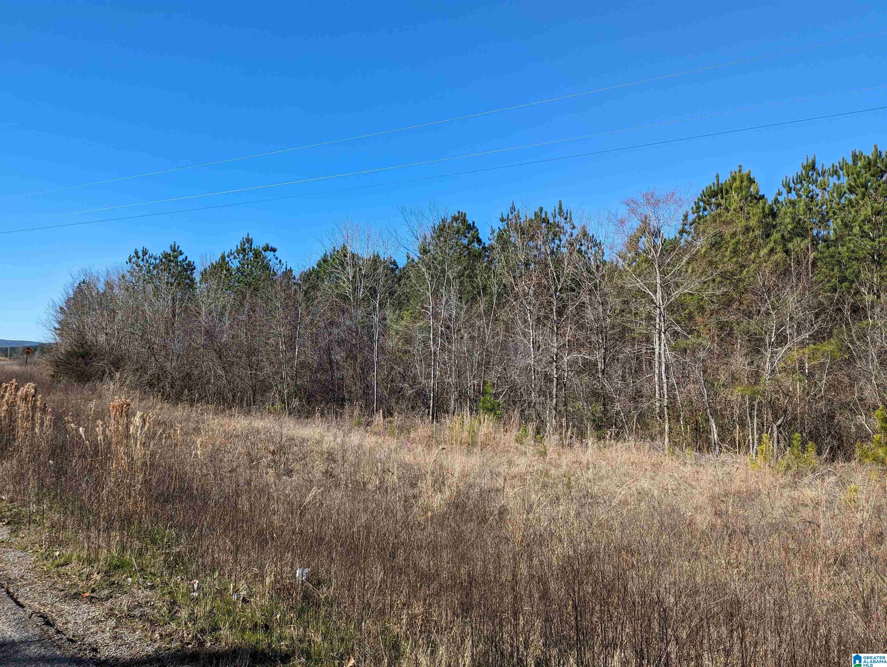 0 Chandler Springs Road Talladega, AL 35160 - Photo 26 of 35