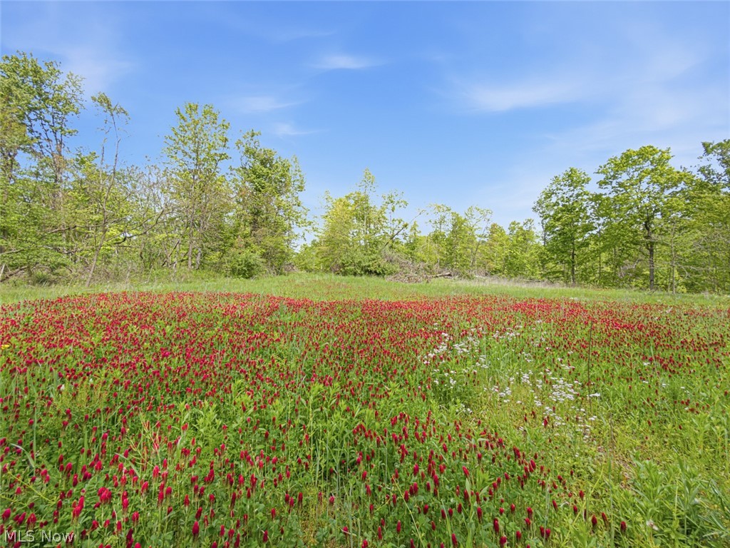 69-acres Newlon Road Malta, OH 43758 - Photo 10 of 20