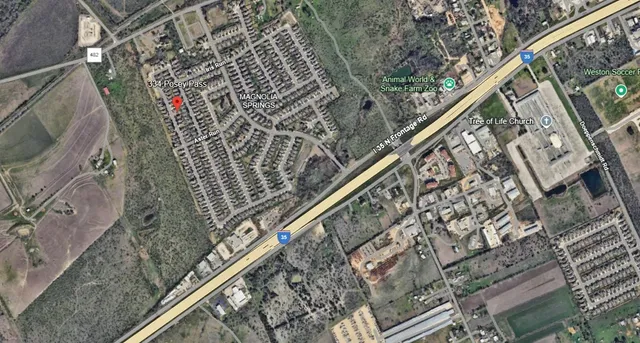 a close up of a plant