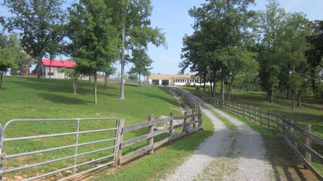 1555 Southside Road Southside, TN 37171 - Photo 1 of 20 Driveway