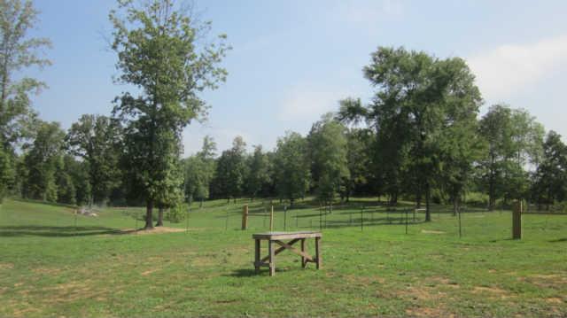 1555 Southside Road Southside, TN 37171 - Photo 15 of 20 Property view
