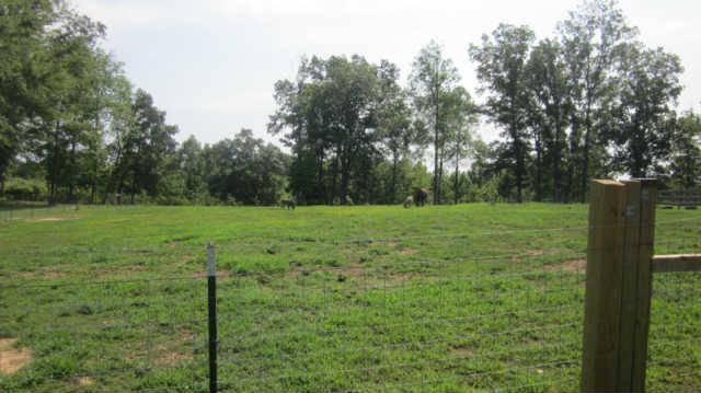 1555 Southside Road Southside, TN 37171 - Photo 16 of 20 Property view