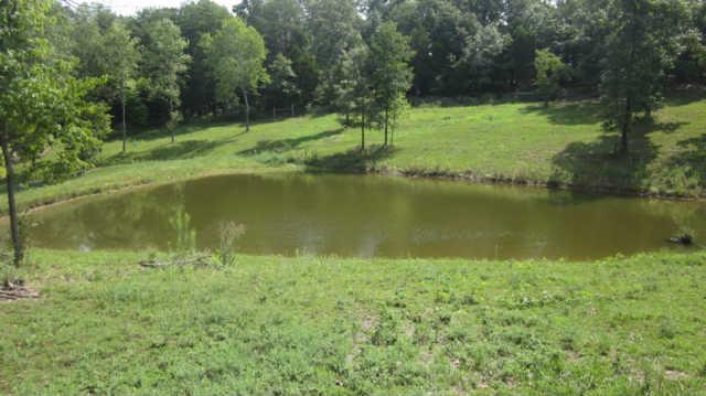1555 Southside Road Southside, TN 37171 - Photo 17 of 20 Stocked Pond