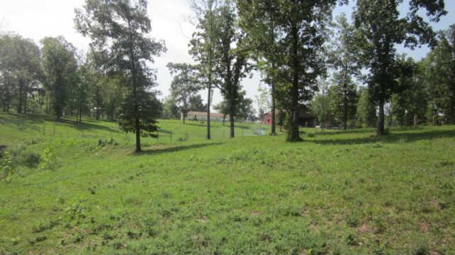1555 Southside Road Southside, TN 37171 - Photo 18 of 20 Property view