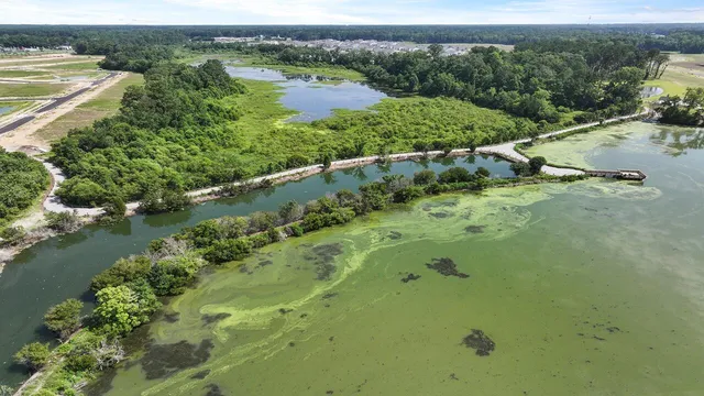 $406,730 | 233 Yarrow Way, Moncks Corner, SC 29461