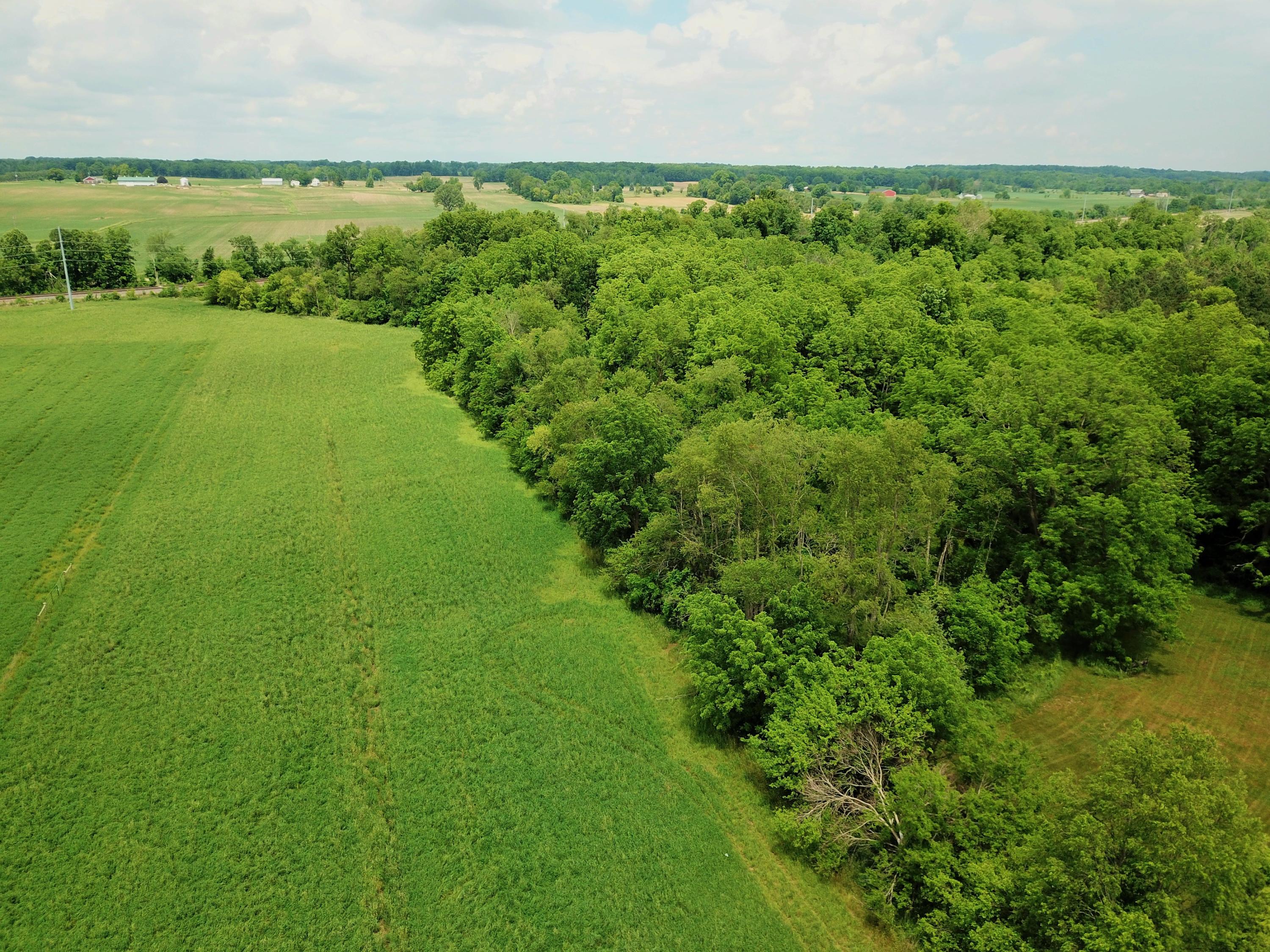8014 Hall Road Bellevue, MI 49021 - Photo 61 of 63 DJI_0008 (2)