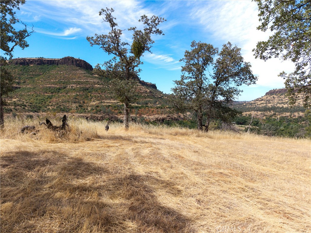 1985 Flatiron Road Chico, CA 95928 - Photo 27 of 67