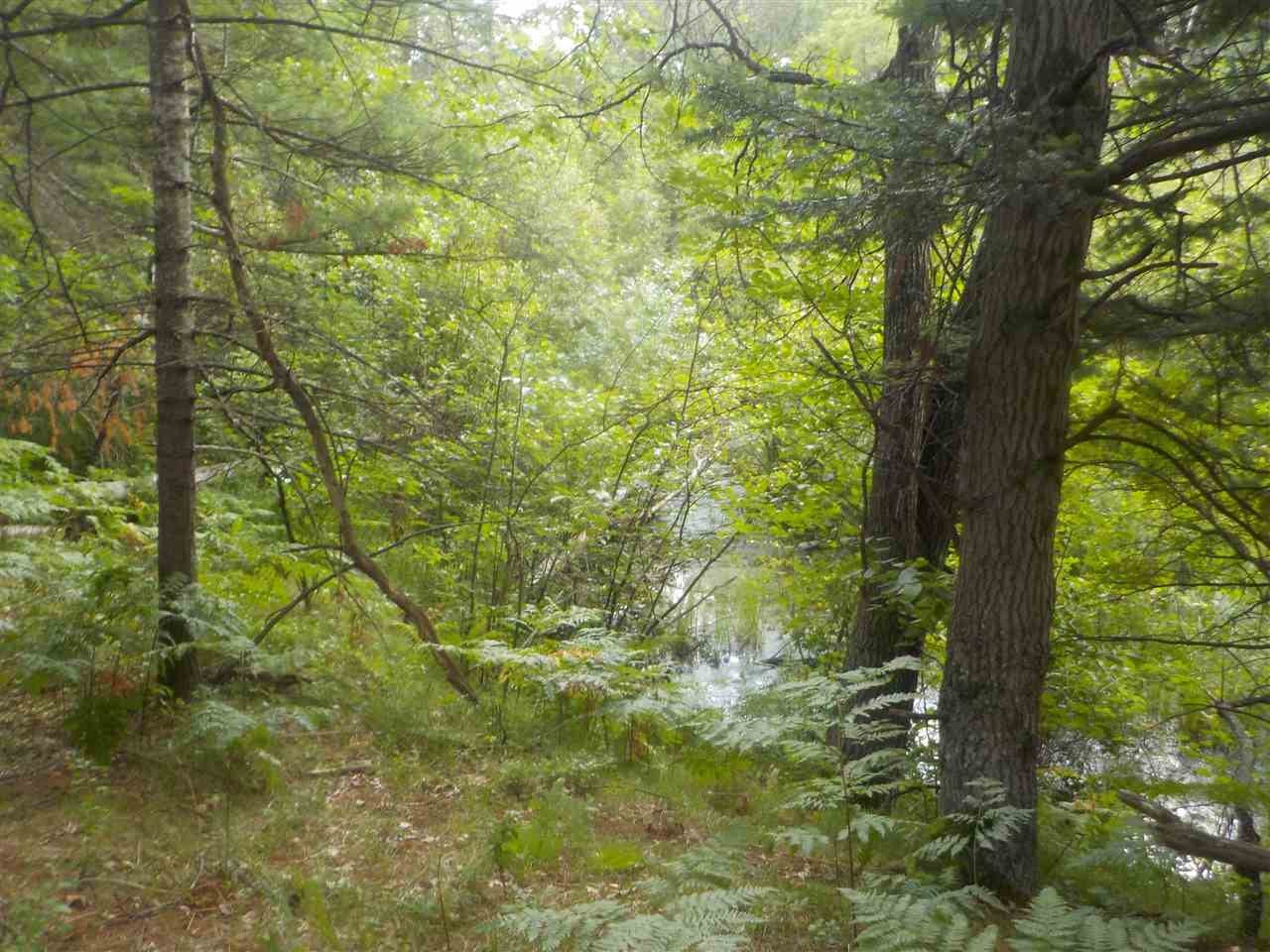 0 South Roberts Road Grayling, MI 49738 - Photo 4 of 6 Gallery Image 4