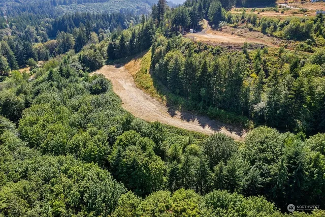 an aerial view of a house with a lush green forest