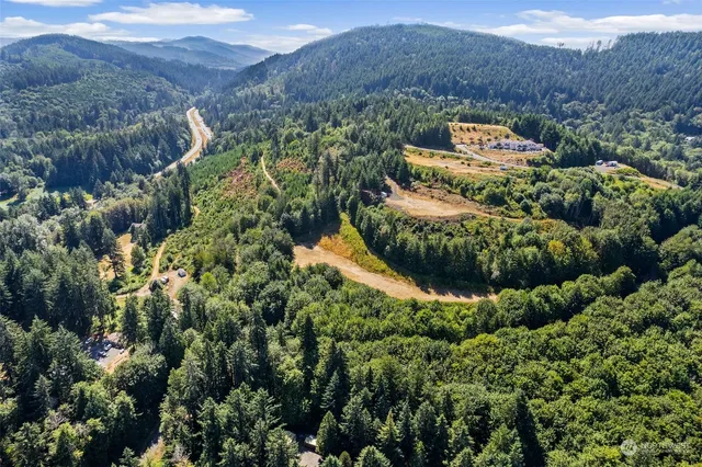 a view of a garden with a tree