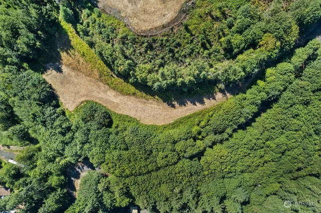 a view of yard with swimming pool and green space