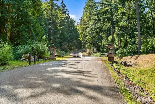 a view of a road with trees in the background