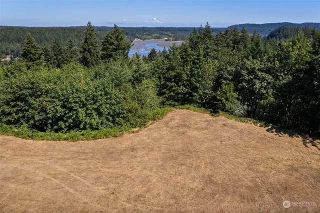 a view of a yard with plants and trees