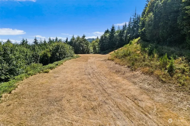 an aerial view of green landscape with trees houses and mountain view