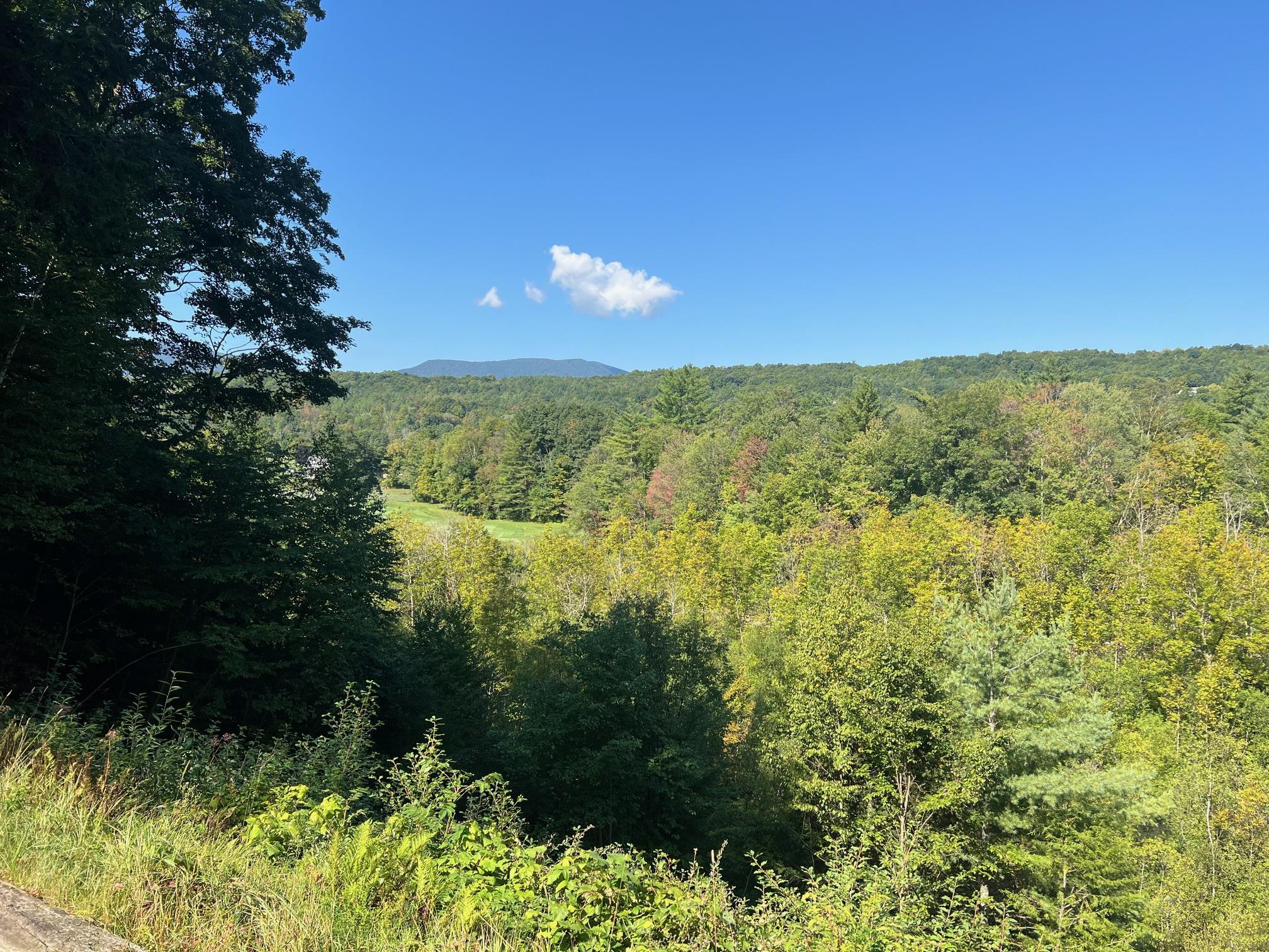 100 Back 9 Bluff Manchester, VT 05255 - Photo 21 of 26