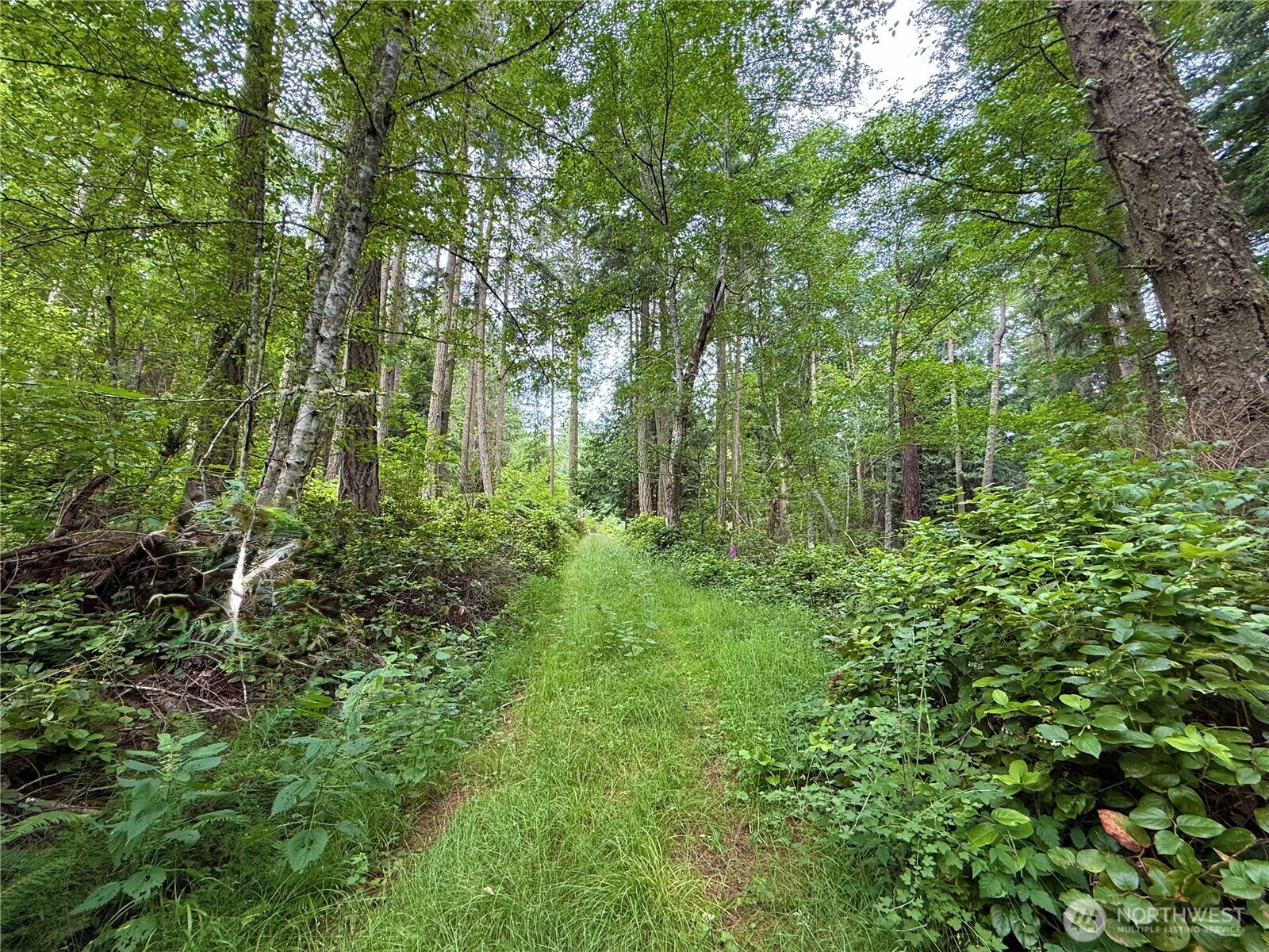 0 Lots 7-8 Newton Beach Road Shaw Island, WA 98286 - Photo 28 of 33