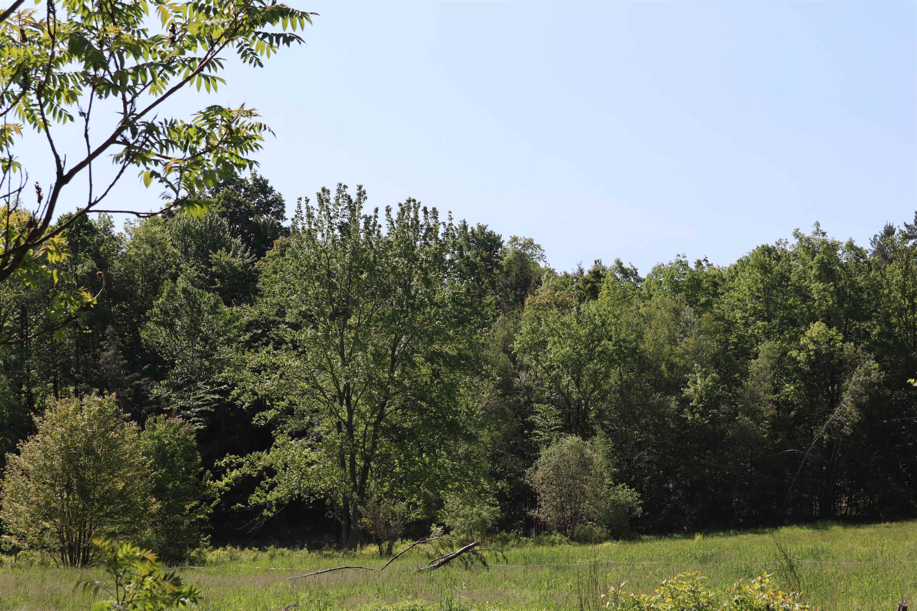 1041 Smead Road, Unit LOT 1 Salisbury, VT 05769 - Photo 1 of 2