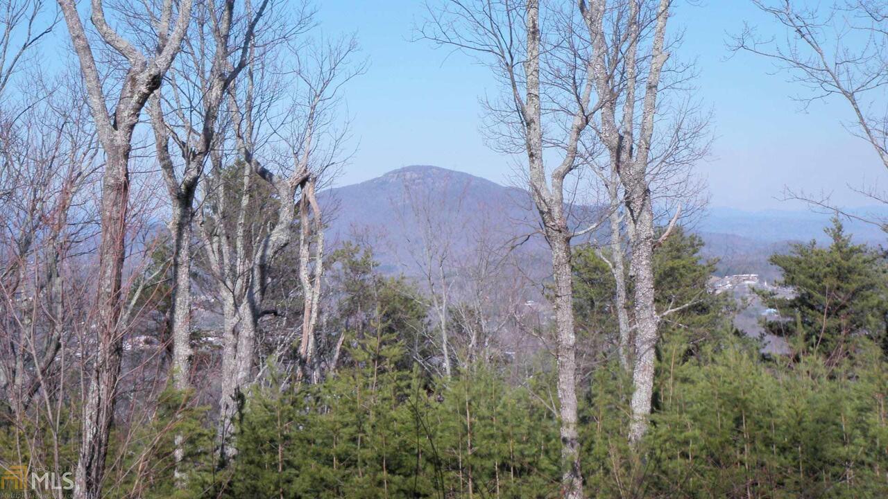 0 Tom Hunt Road, Unit 4 Cleveland, GA 30528 - Photo 1 of 1 Gallery Image 1