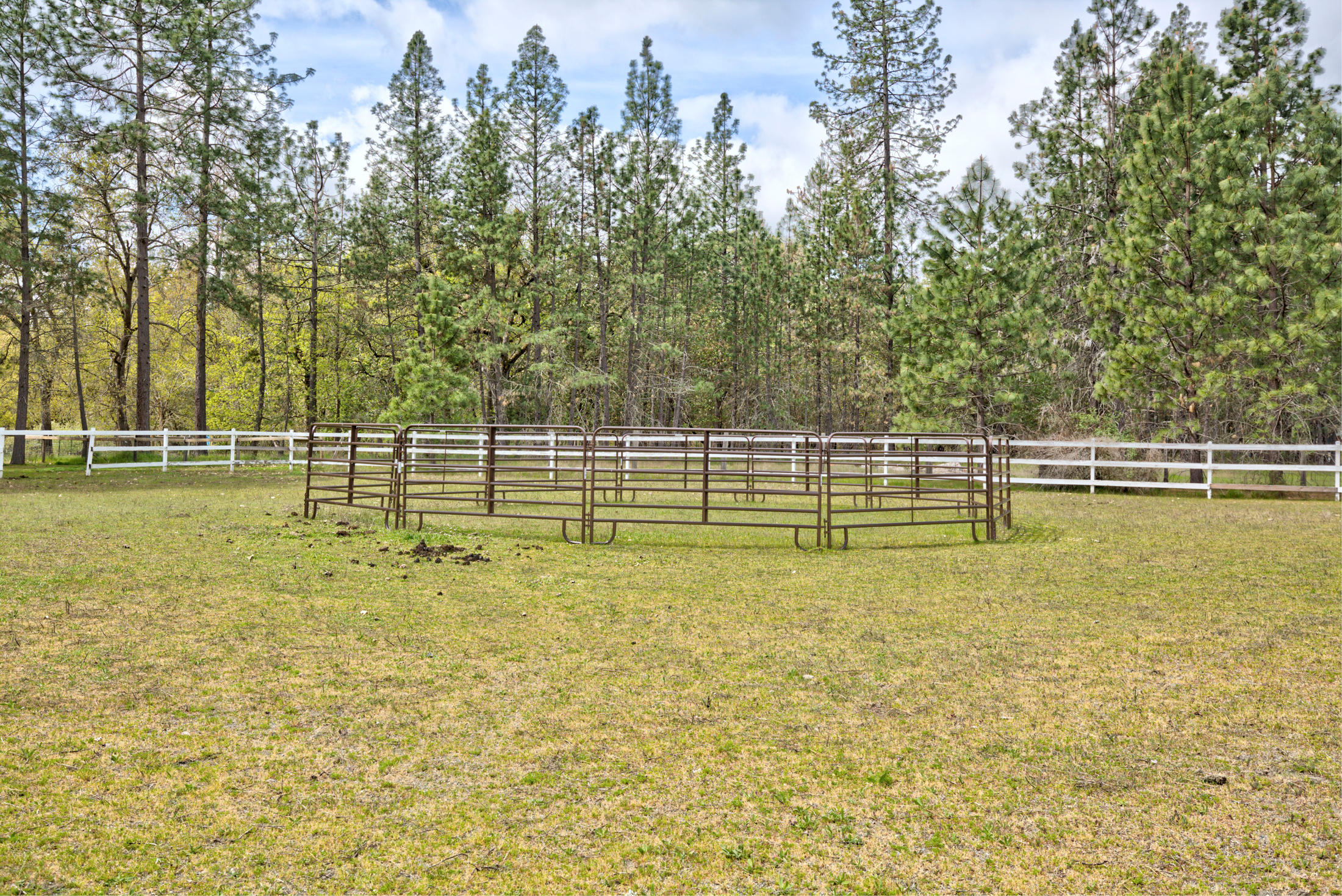 505 Horizon Hills Road Williams, OR 97544 - Photo 62 of 66 horizon062