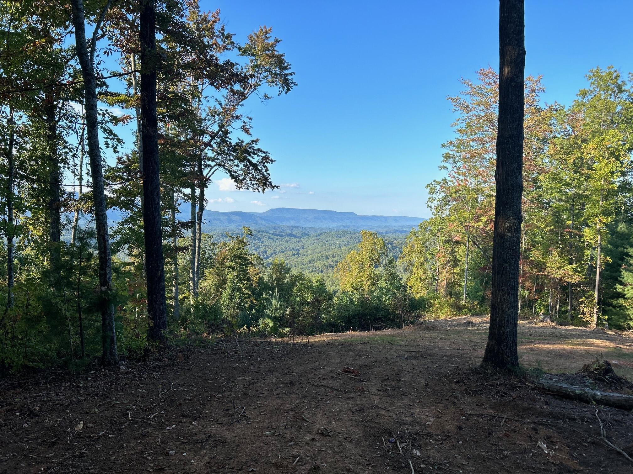 1 Chestnut Mountain Road Reliance, TN 37369 - Photo 22 of 24 Gallery Image 22