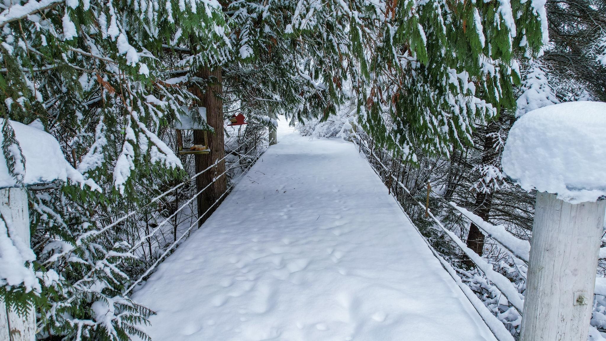 19982 North Mt Spokane Park Drive Mead, WA 99021 - Photo 27 of 29