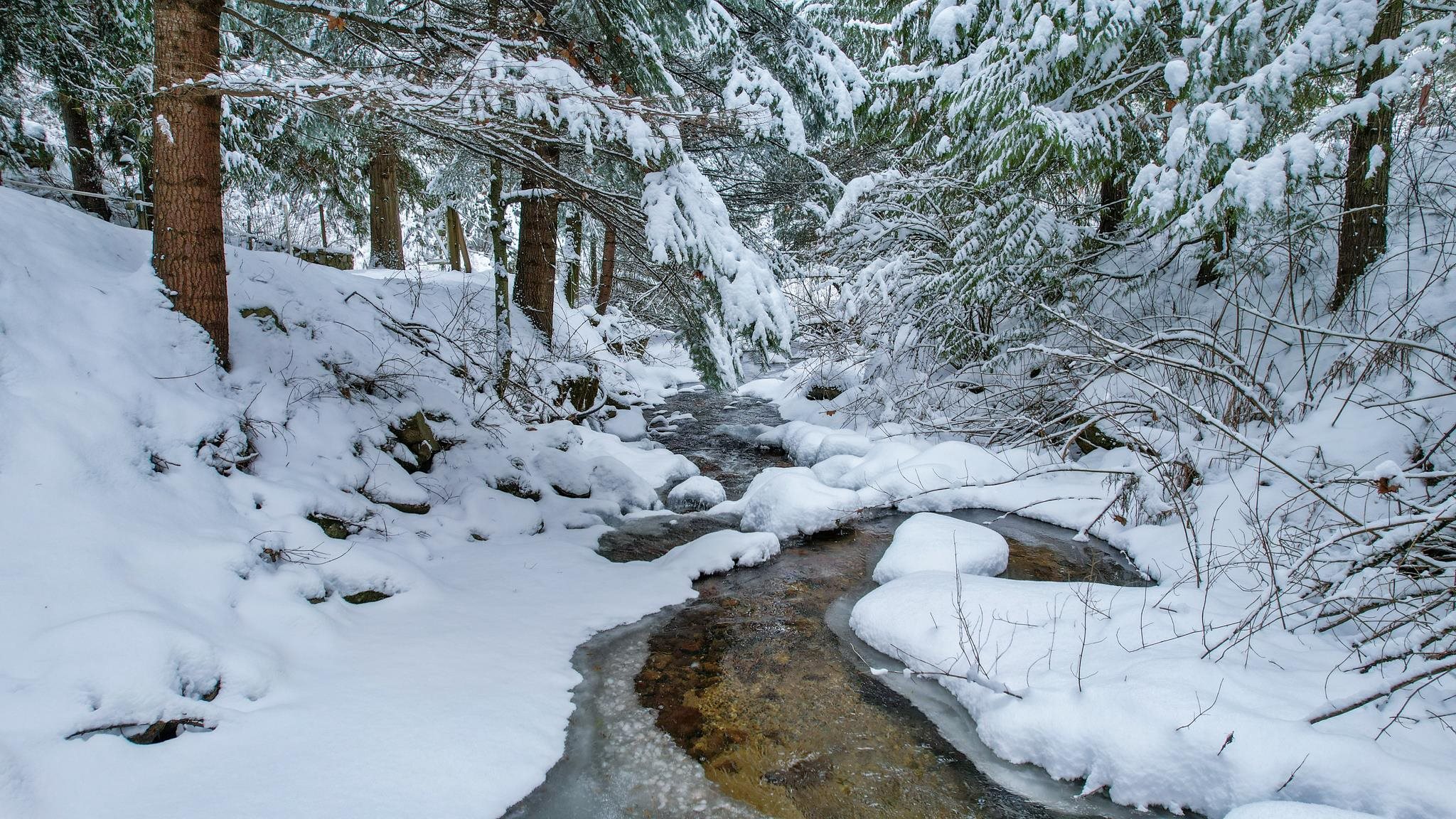 19982 North Mt Spokane Park Drive Mead, WA 99021 - Photo 3 of 29