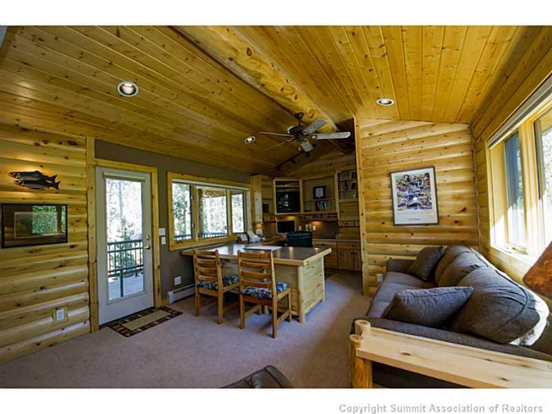 311 Red Hawk Circle Silverthorne, CO 80498 - Photo 18 of 25 a living room with furniture and a window