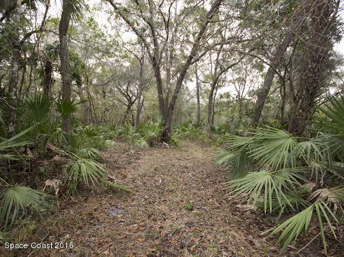 1210 Gopher Slough Road Mims, FL 32754 - Photo 32 of 32 Trail to lake
