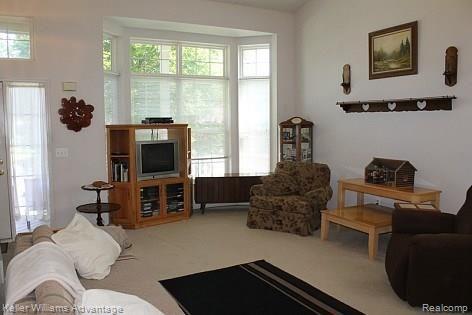 2584 Ravineside South Howell, MI 48843 - Photo 7 of 29
