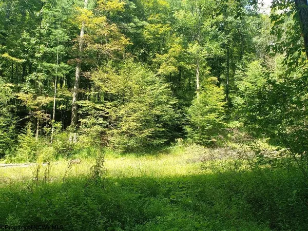 $300,000 | 100 Steve Rosier Road, Parsons, WV 26287