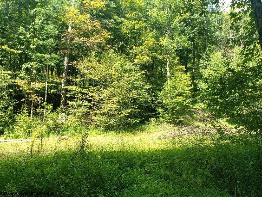 100 Steve Rosier Road Parsons, WV 26287 - Photo 1 of 21 Gallery Image 1