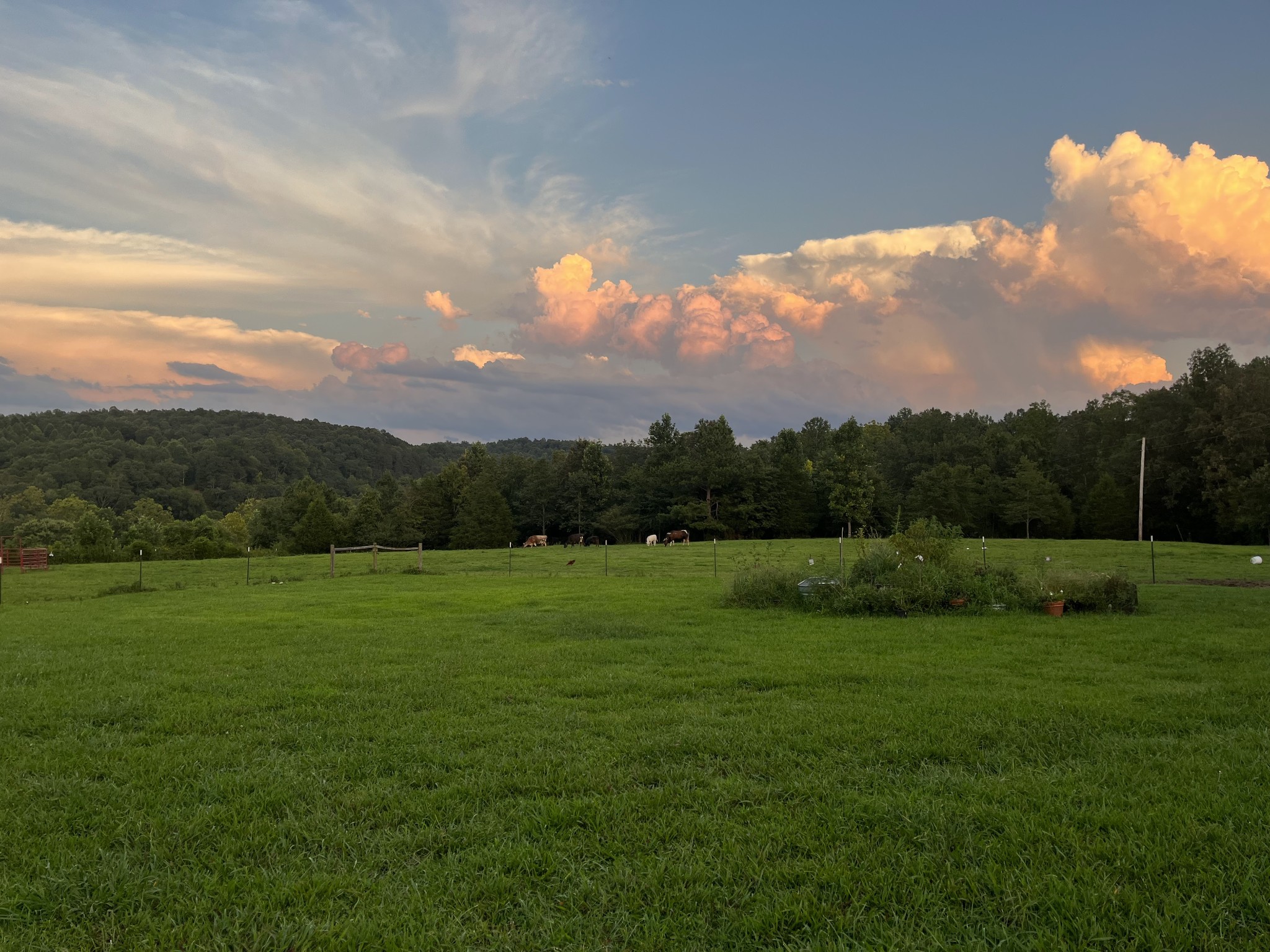728 Springer Road Hohenwald, TN 38462 - Photo 1 of 10 Gallery Image 1