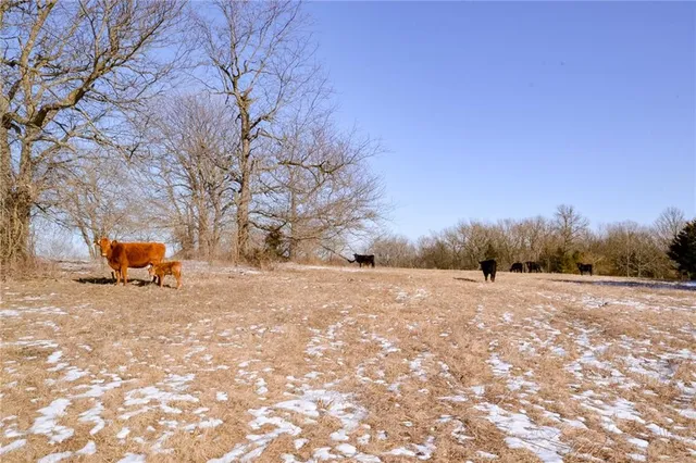 $5,280,000 | 14546 Northeast County Road 5313, Adrian, MO 64720