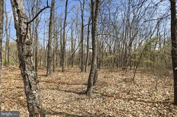 a view of empty room with a tree