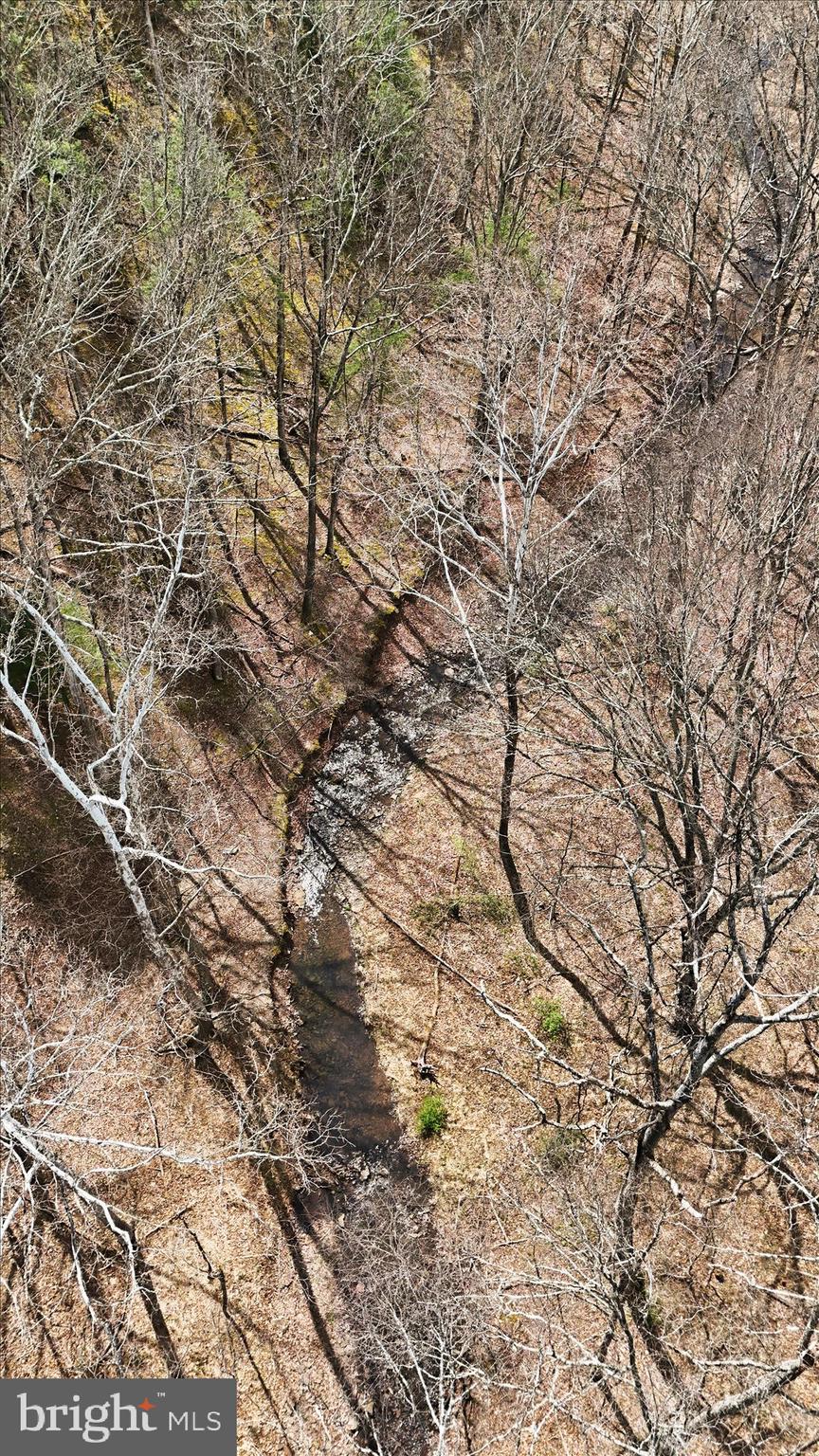 Lot 62-phase Crest Haven Road Romney, WV 26757 - Photo 15 of 15